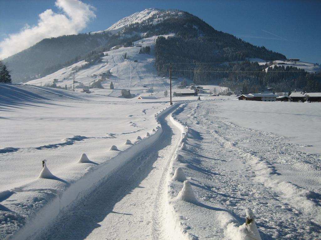 Hotel Alpenresidenz Adler à Kirchberg en Tyrol Extérieur photo
