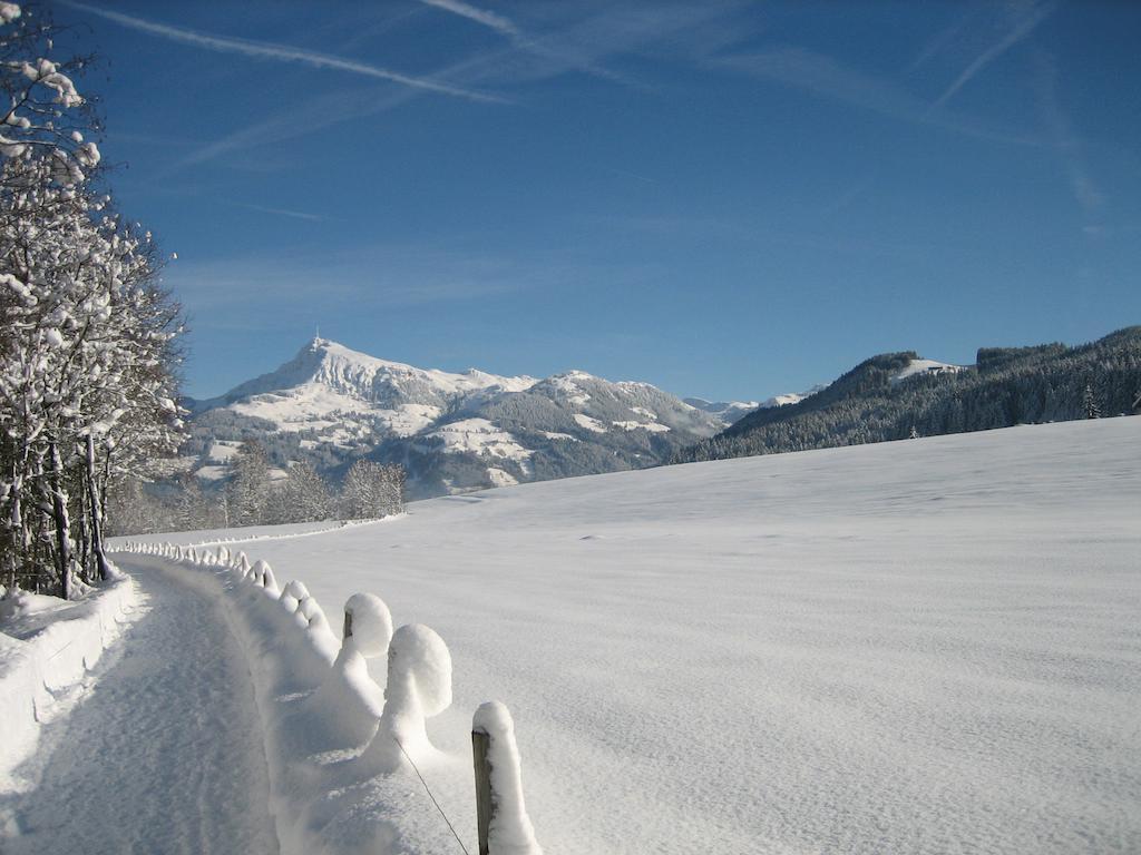 Hotel Alpenresidenz Adler à Kirchberg en Tyrol Extérieur photo